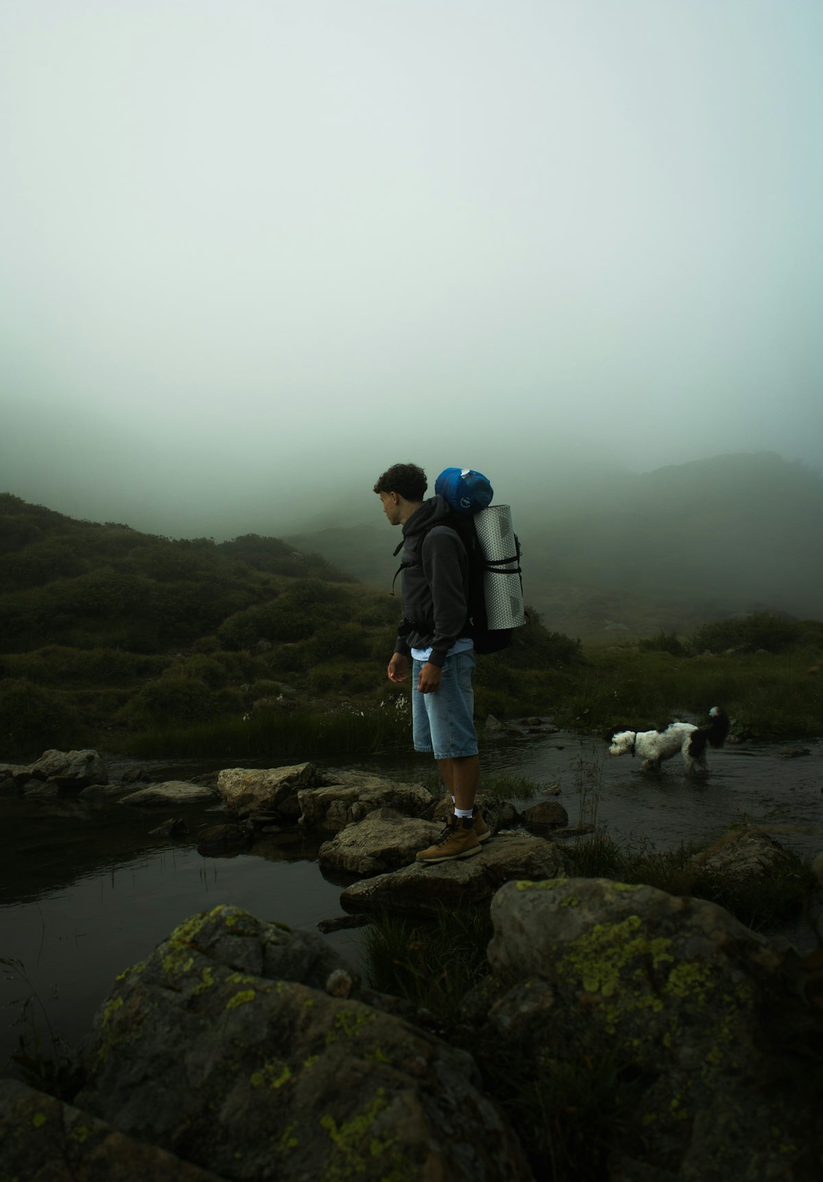 Man with backpack and dog in foggy mountains