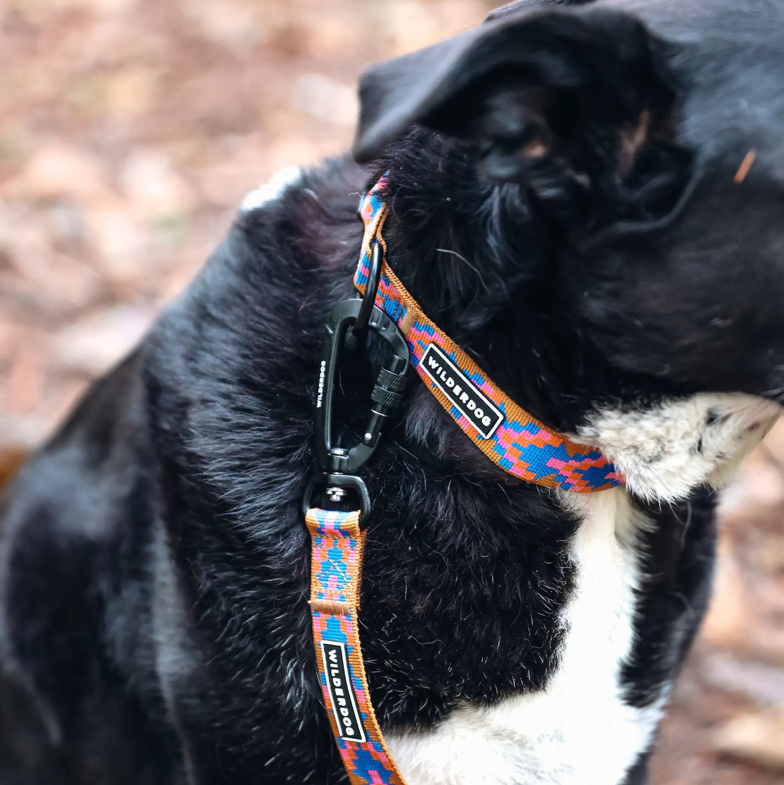 Sandstone Ultralight Collar