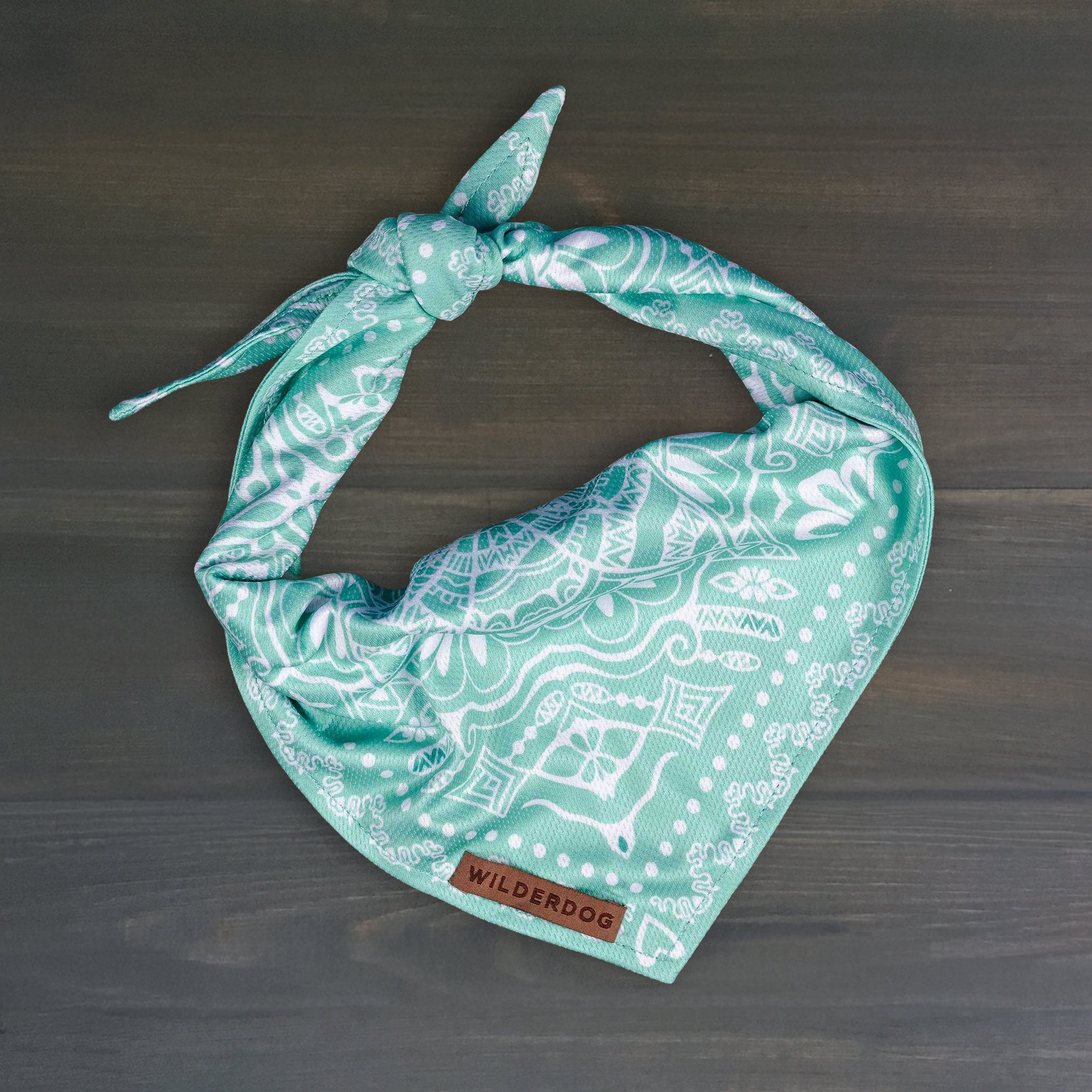 Agave Bandana
