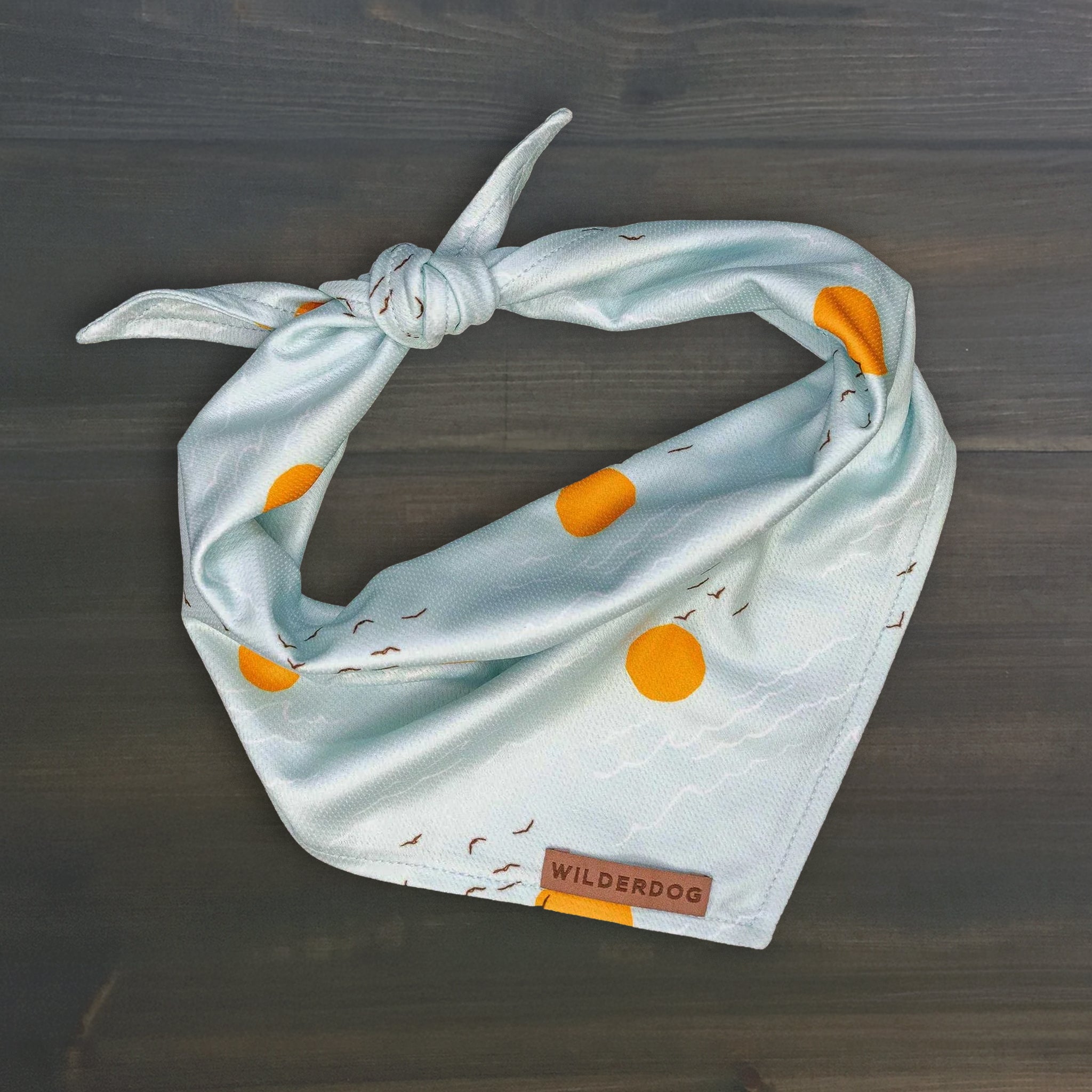 Barnegat Bandana