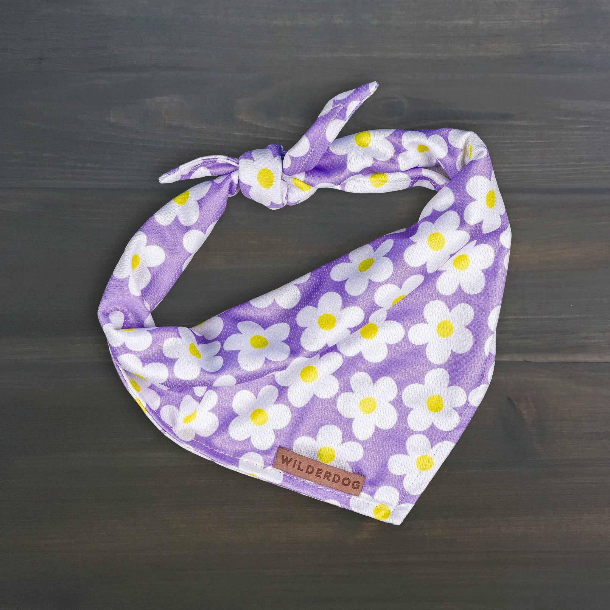 Daisy Bandana