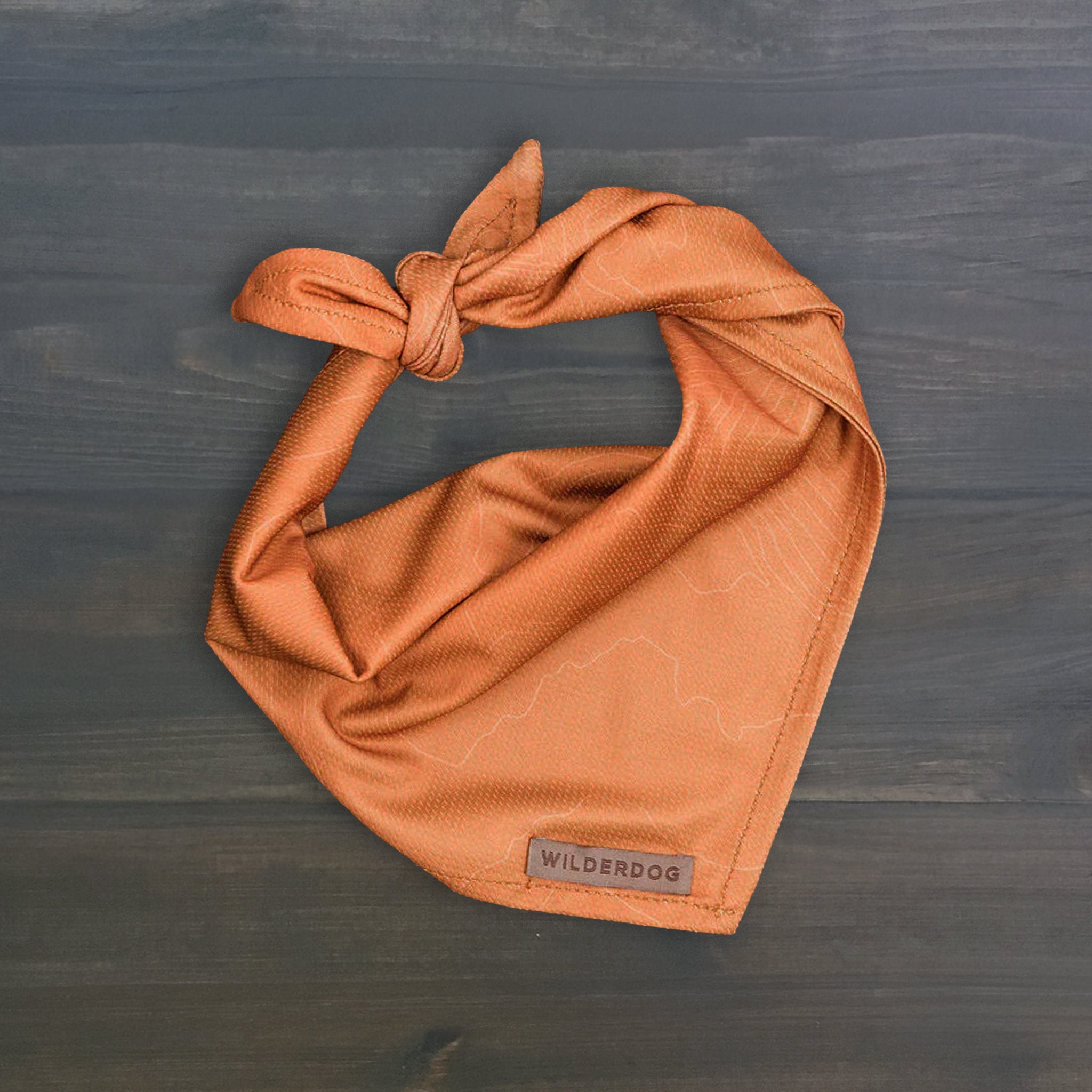 Orange Topo Bandana