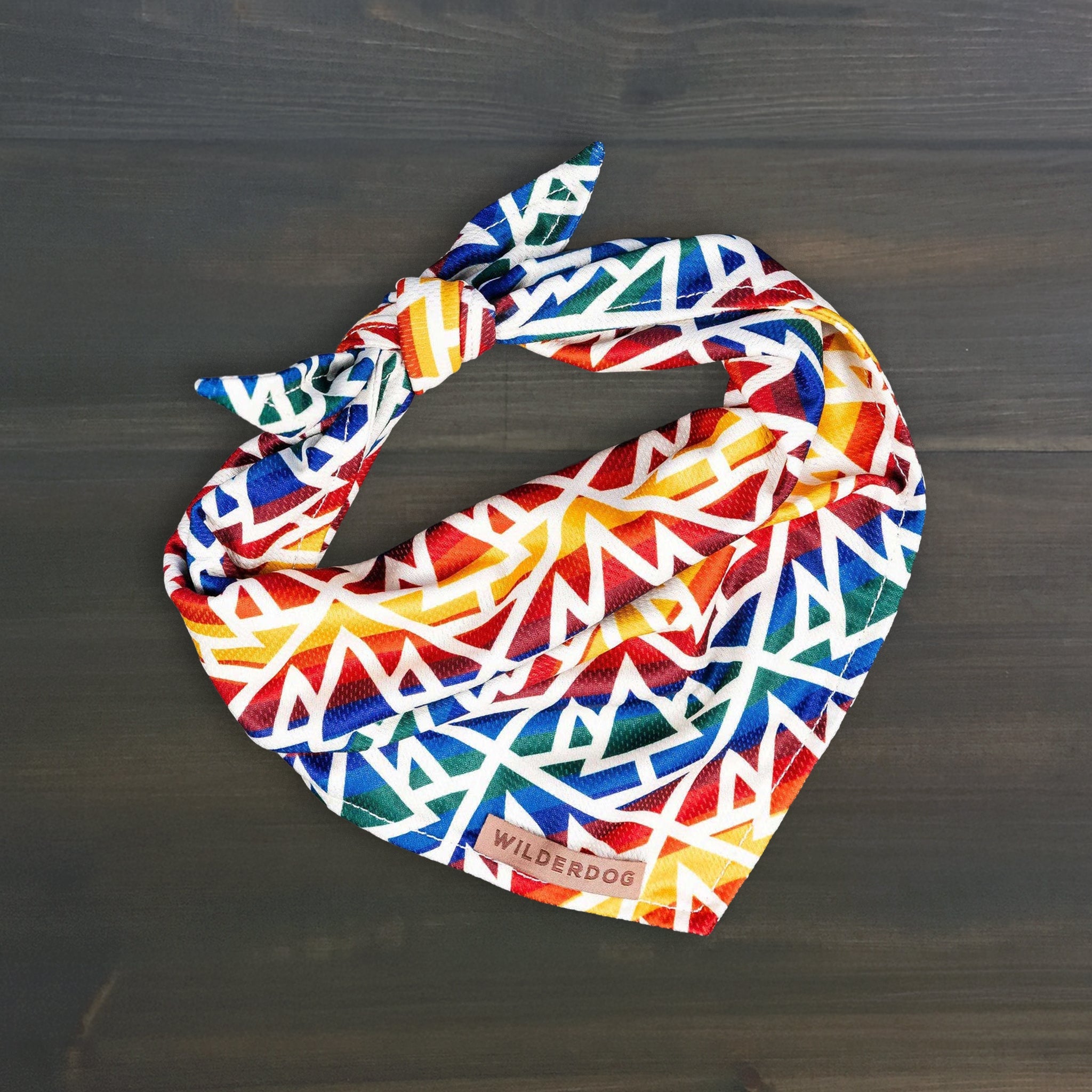 Rainbow Bandana