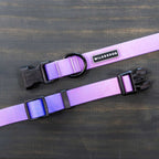 Aurora Waterproof Leash + Collar Bundle