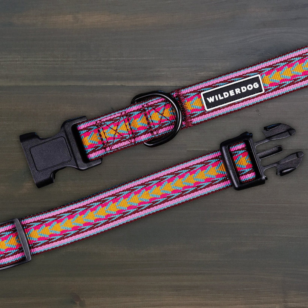 Daybreak Ultralight Collar