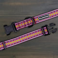 Daybreak Ultralight Collar