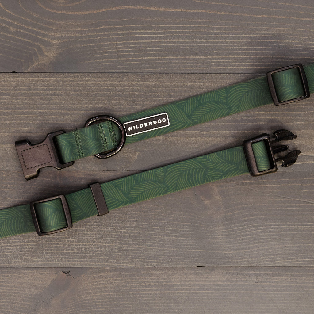 Cedar Waterproof Leash + Collar Bundle