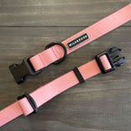 Guava Waterproof Leash + Collar Bundle