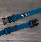 Pacific Blue Waterproof Leash + Collar Bundle