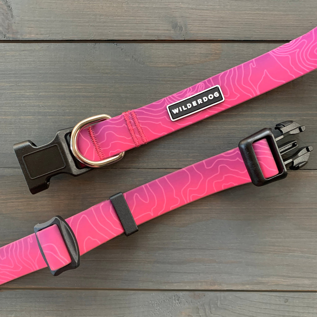 Plum Waterproof Leash + Collar Bundle