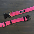 Plum Waterproof Collar