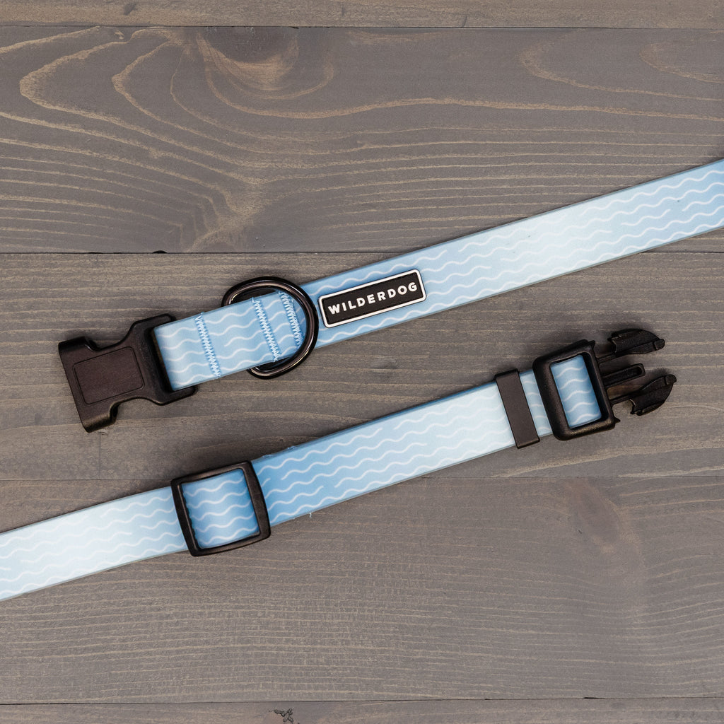 Saltwater Waterproof Leash + Collar Bundle