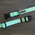 Seafoam Waterproof Collar