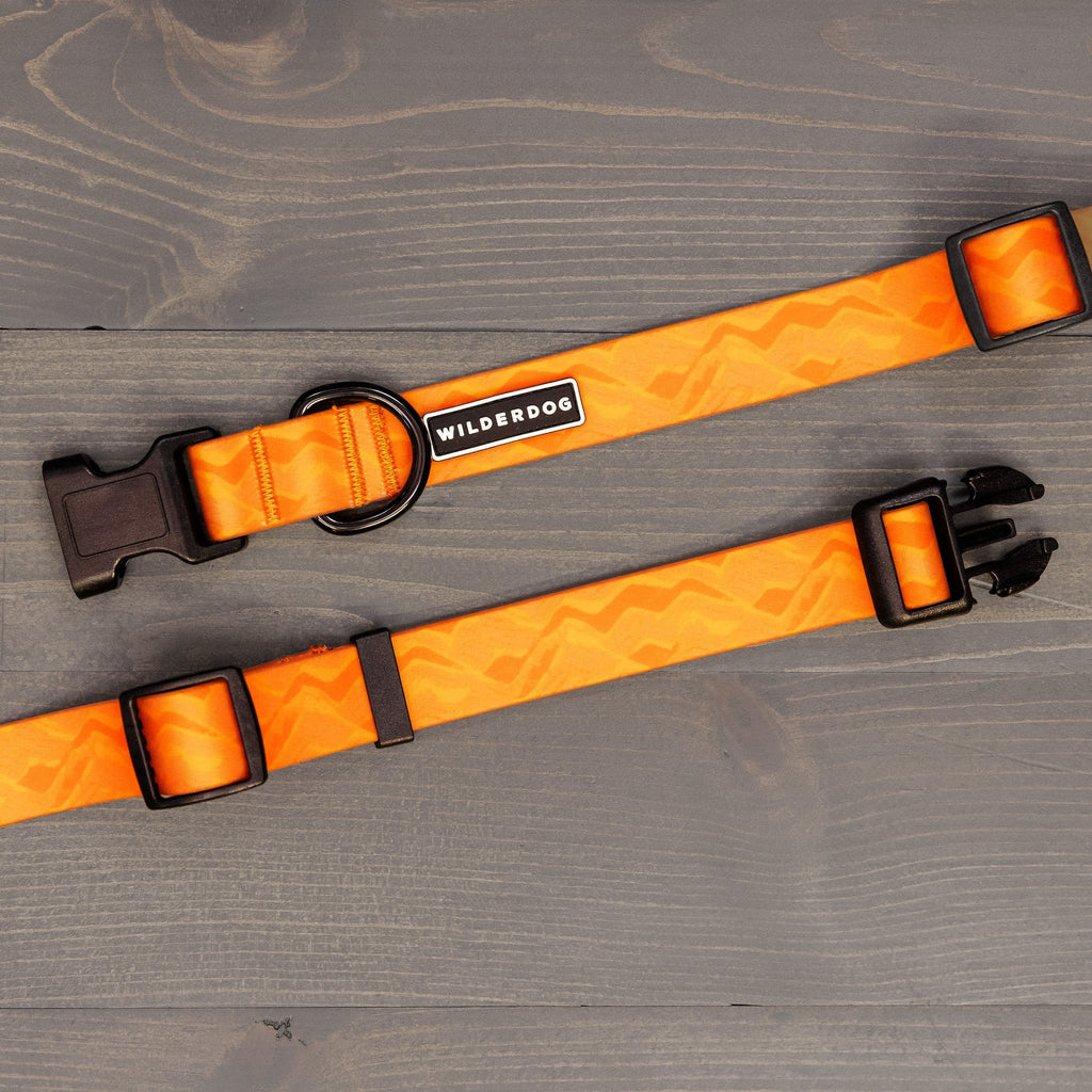 Terracotta Waterproof Leash + Collar Bundle