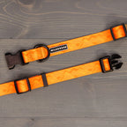 Terracotta Waterproof Leash + Collar Bundle