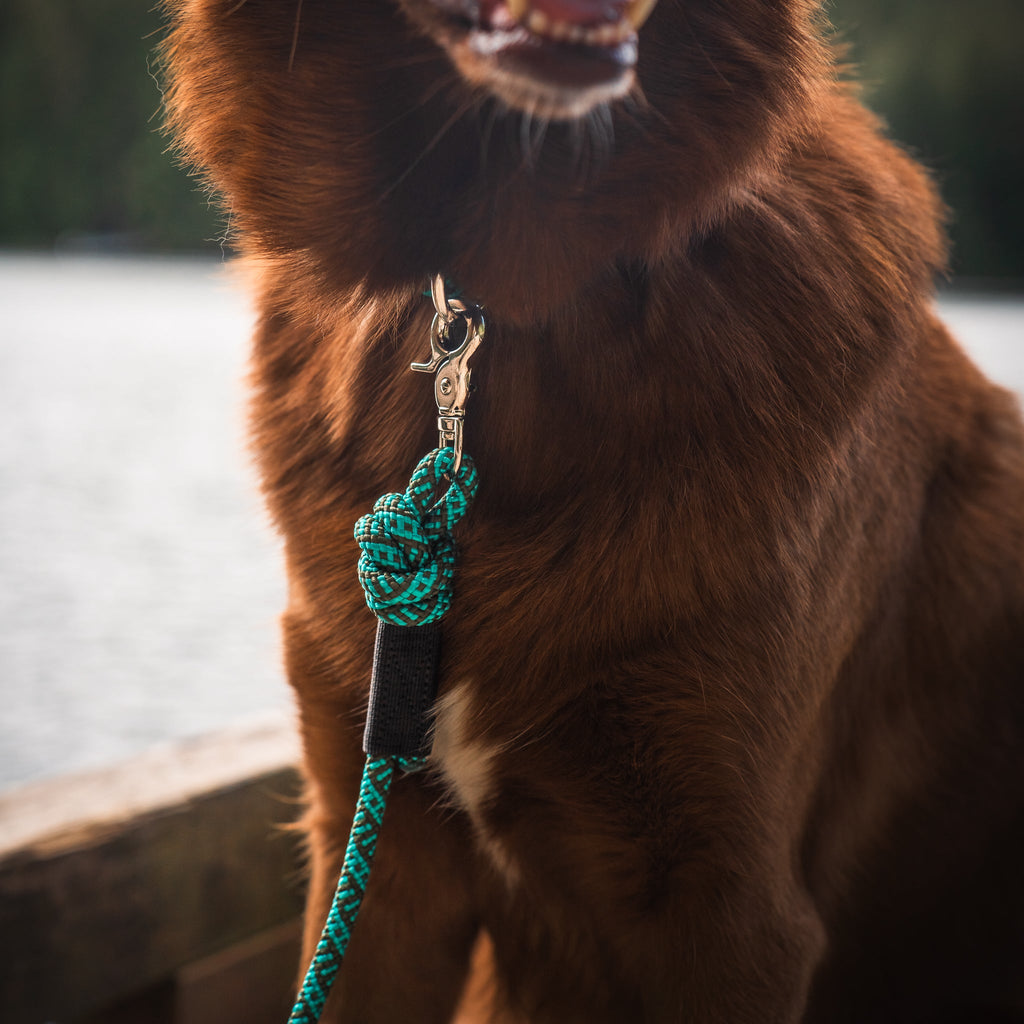 Quick Clip Rope Leash
