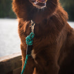 Quick Clip Rope Leash
