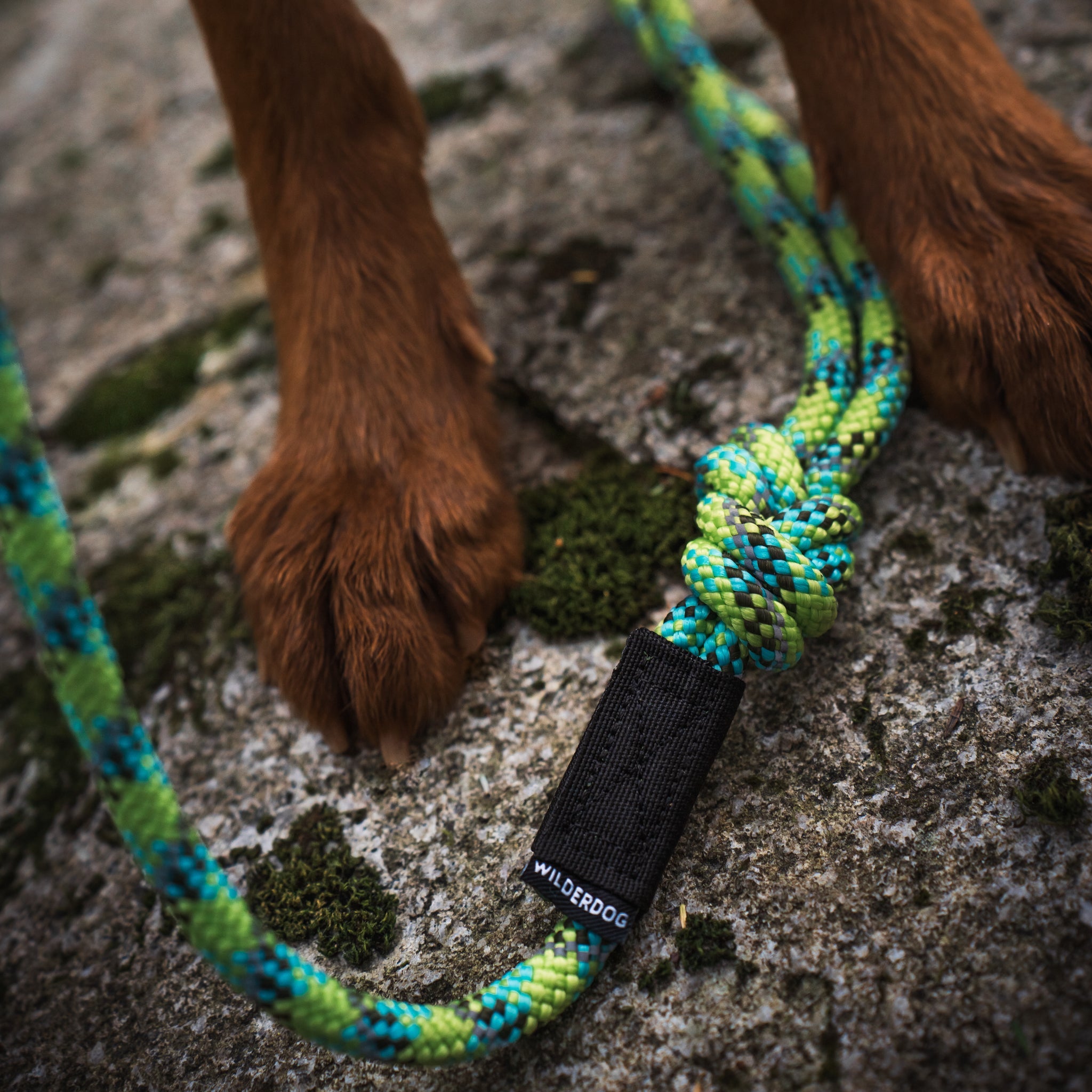 Big Carabiner Rope Leash