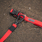 Red Waterproof Collar