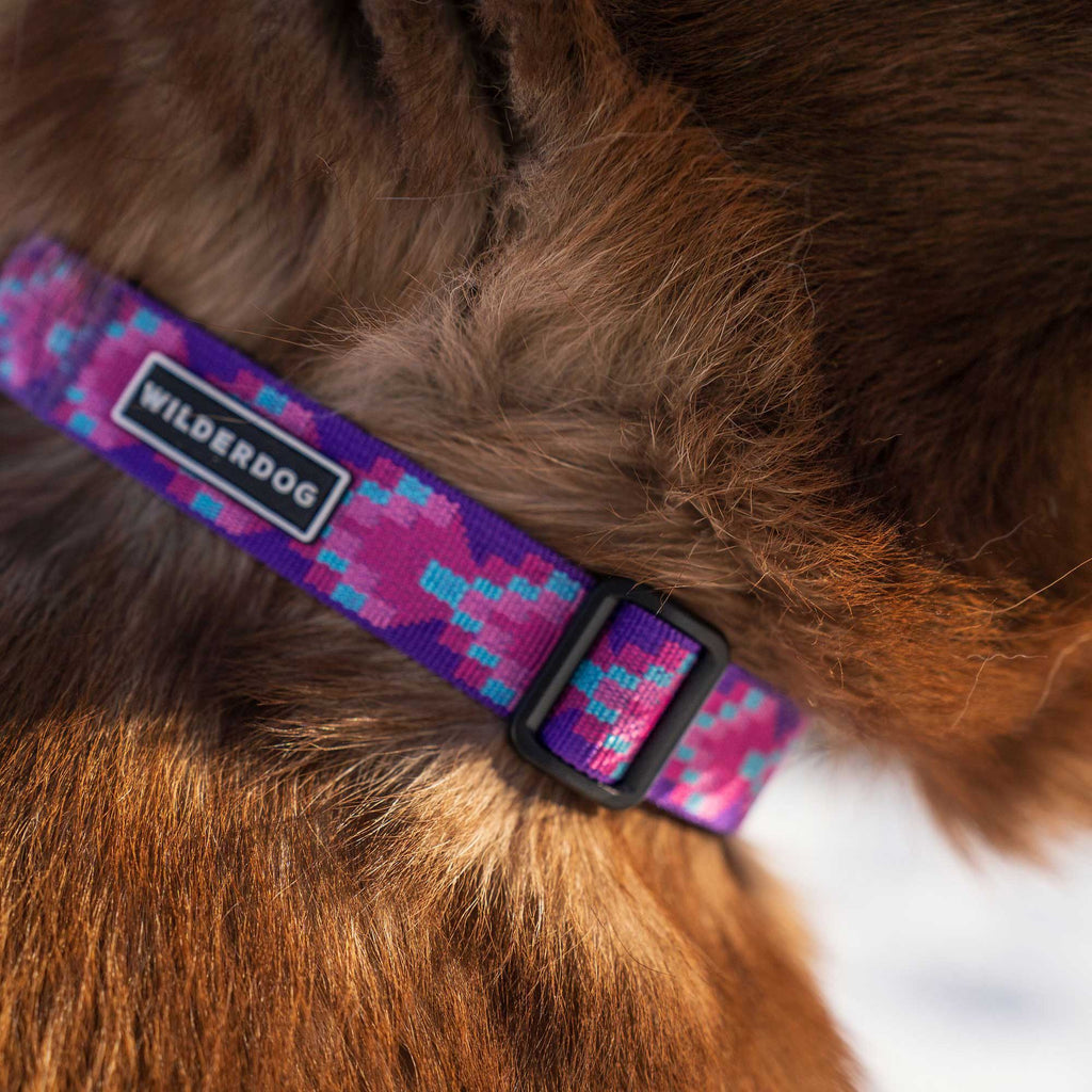 Lupin Ultralight Collar