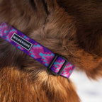 Lupin Ultralight Collar