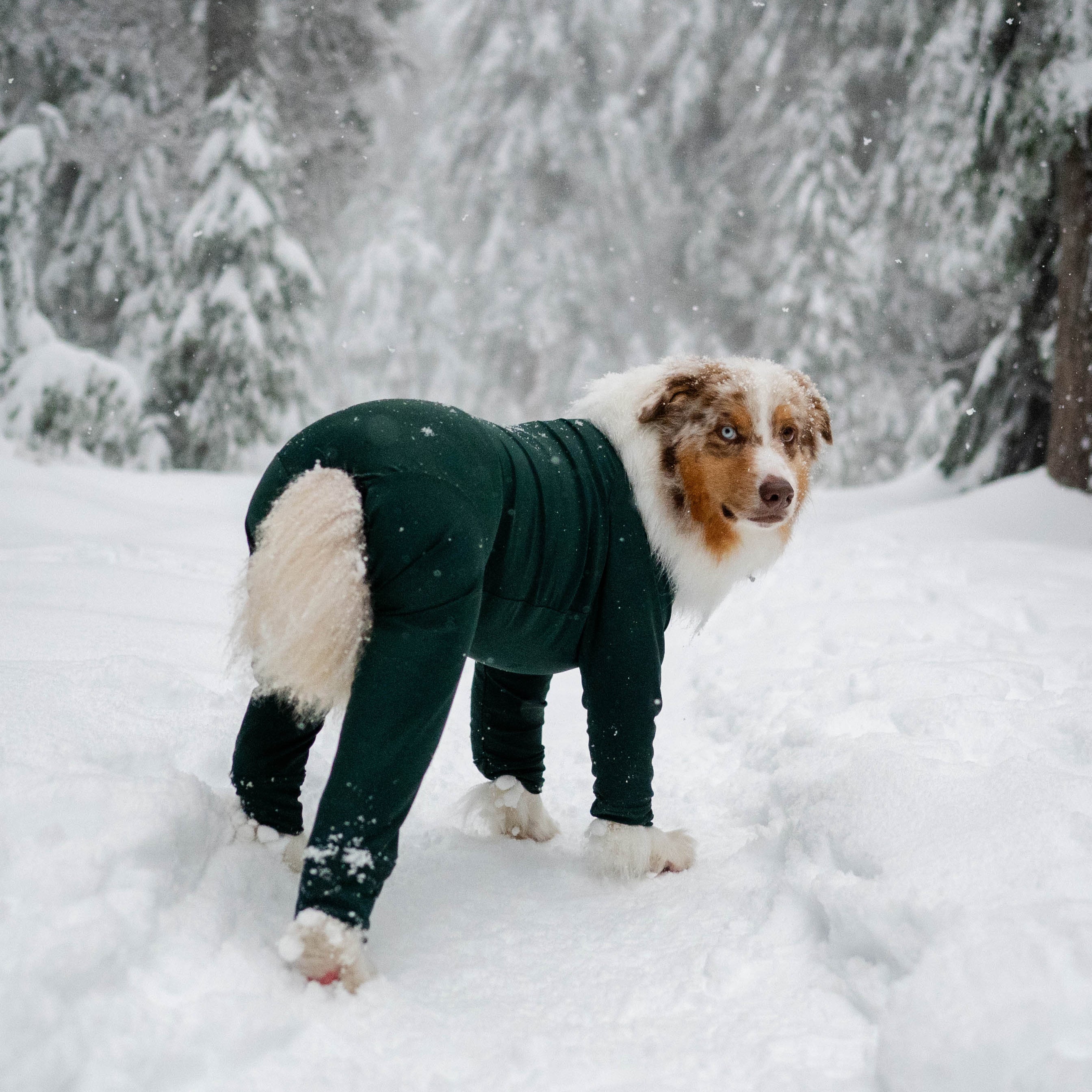 Powsuit
