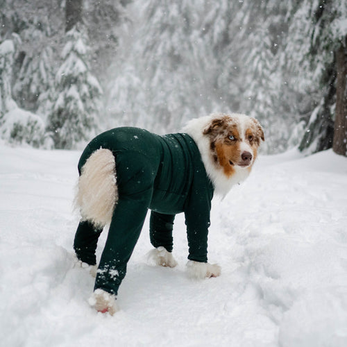 Powsuit
