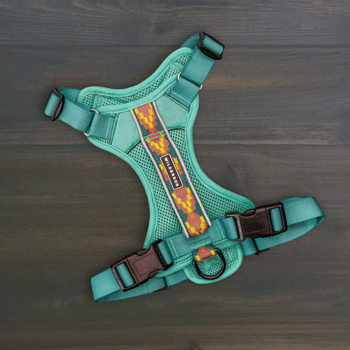 Dog Harness