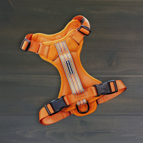 Dog Harness