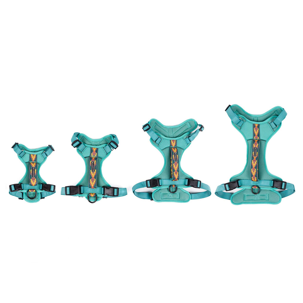 Dog Harness