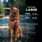 Dog Harness