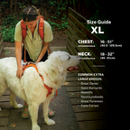 Dog Harness