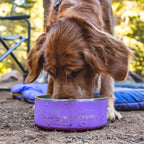 Stainless Steel Dog Bowl
