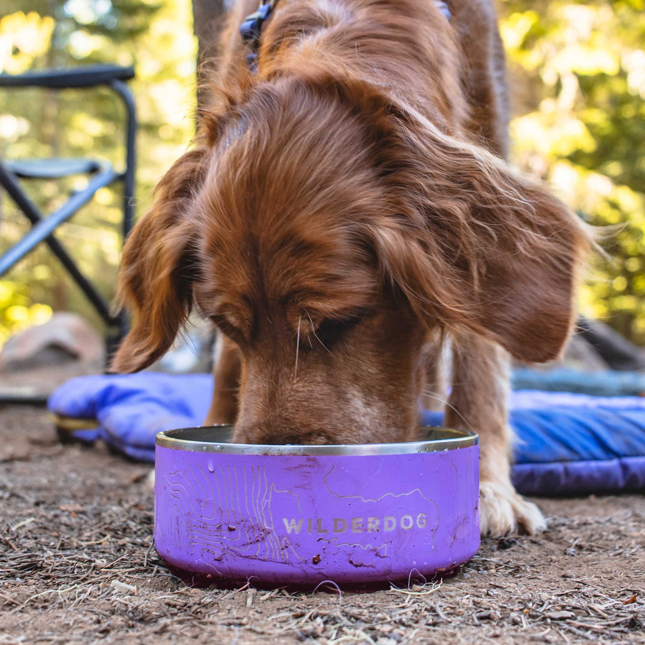 Stainless Steel Dog Bowl
