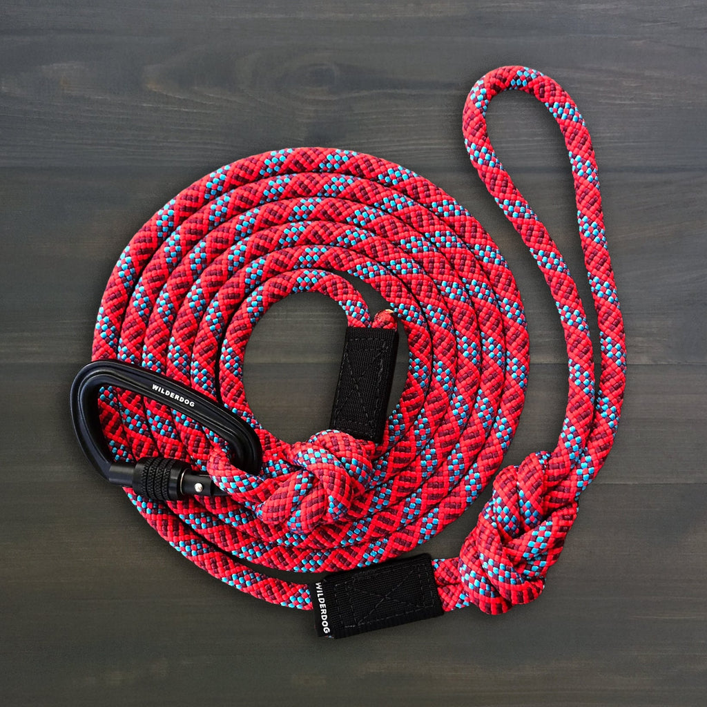 Big Carabiner Rope Leash