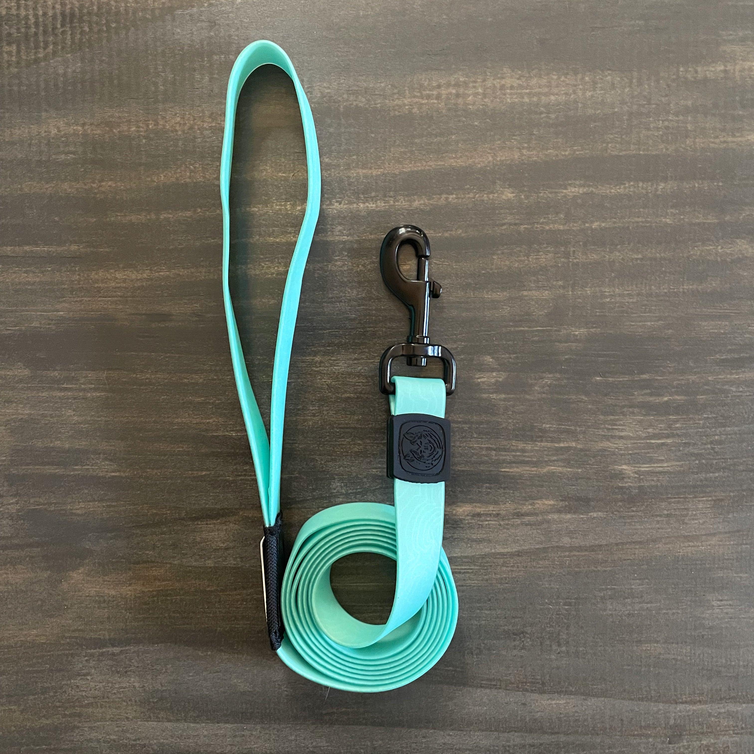 Seafoam Waterproof Leash + Collar Bundle