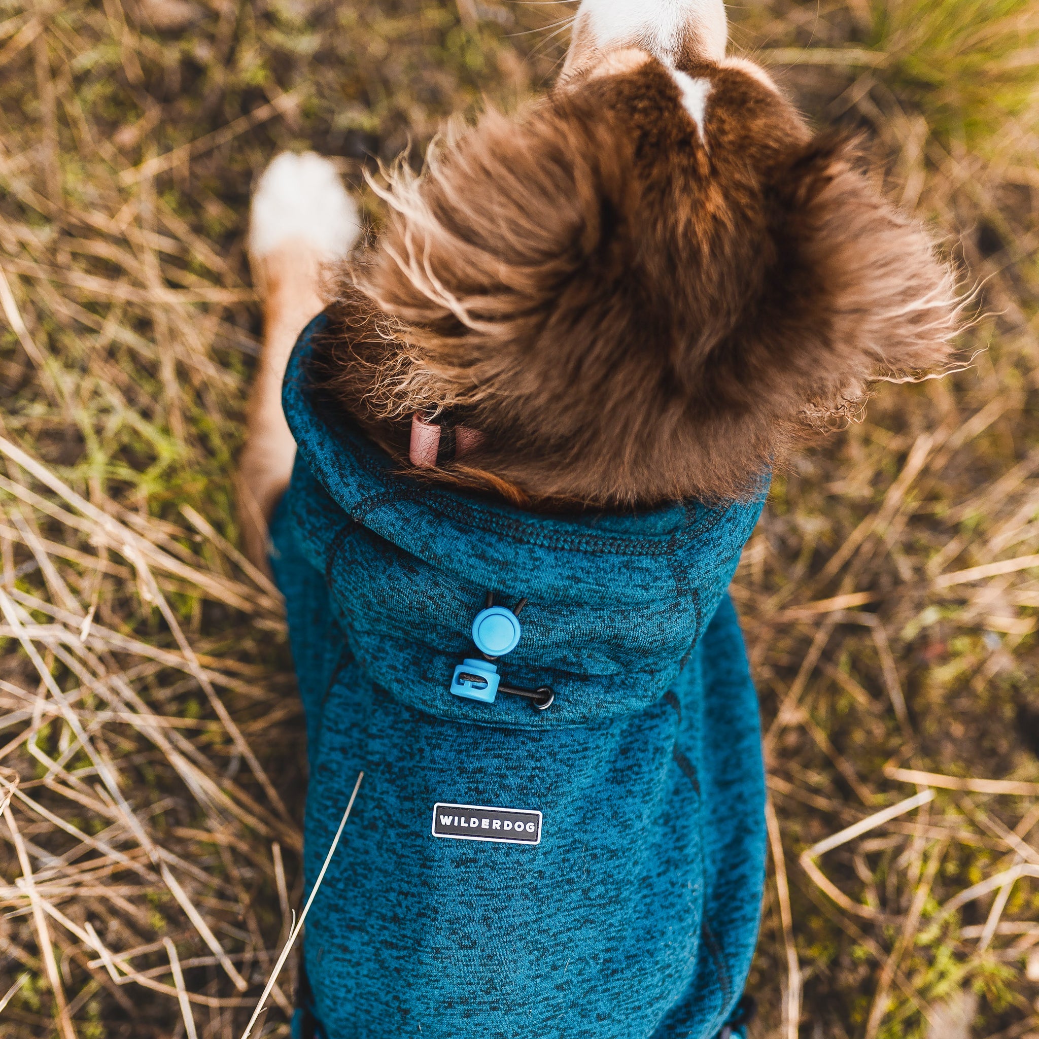 Fleece Jacket