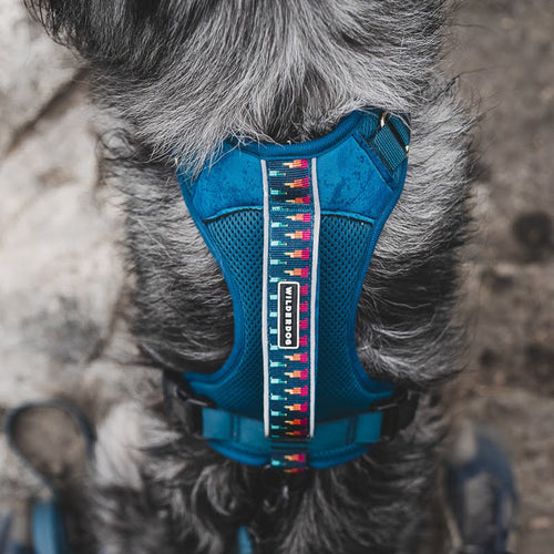Dog Harness