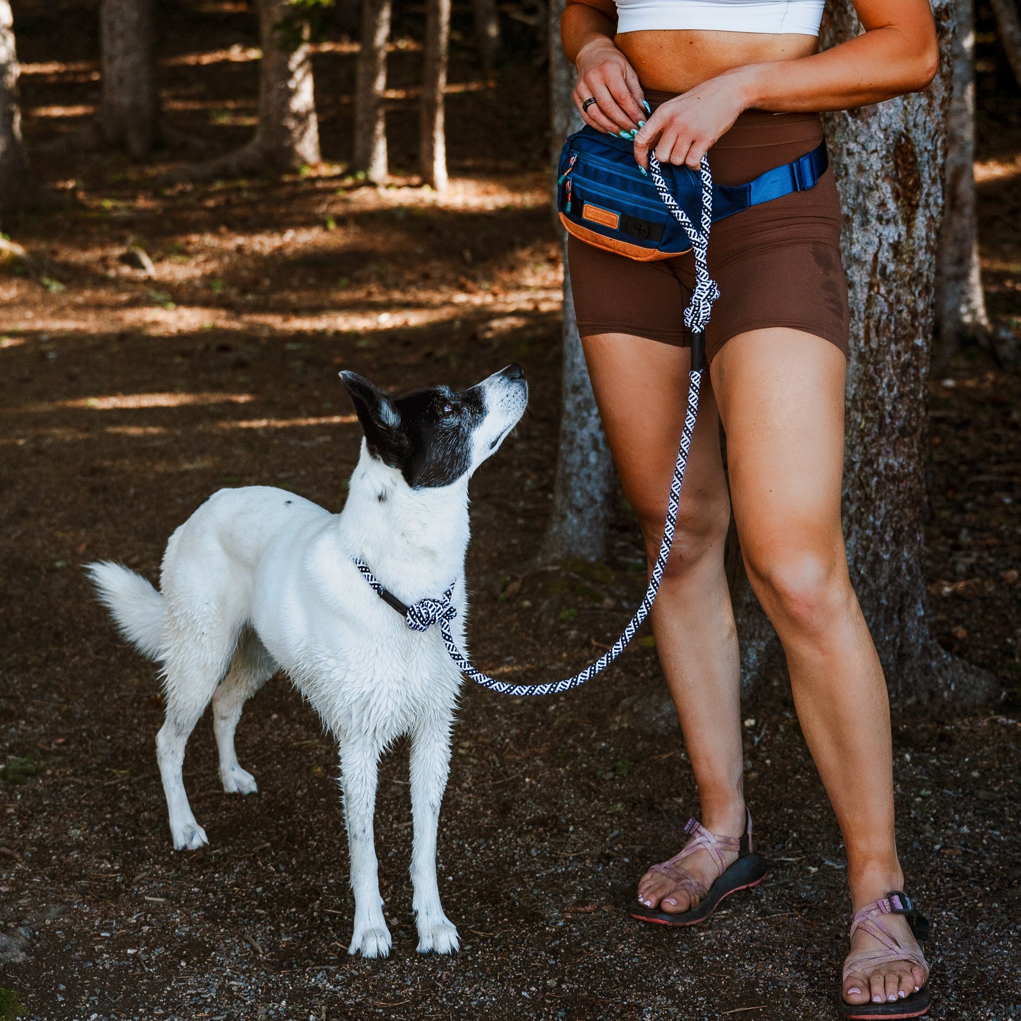 Rope Slip Lead