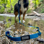 Pacific Blue Waterproof Leash + Collar Bundle