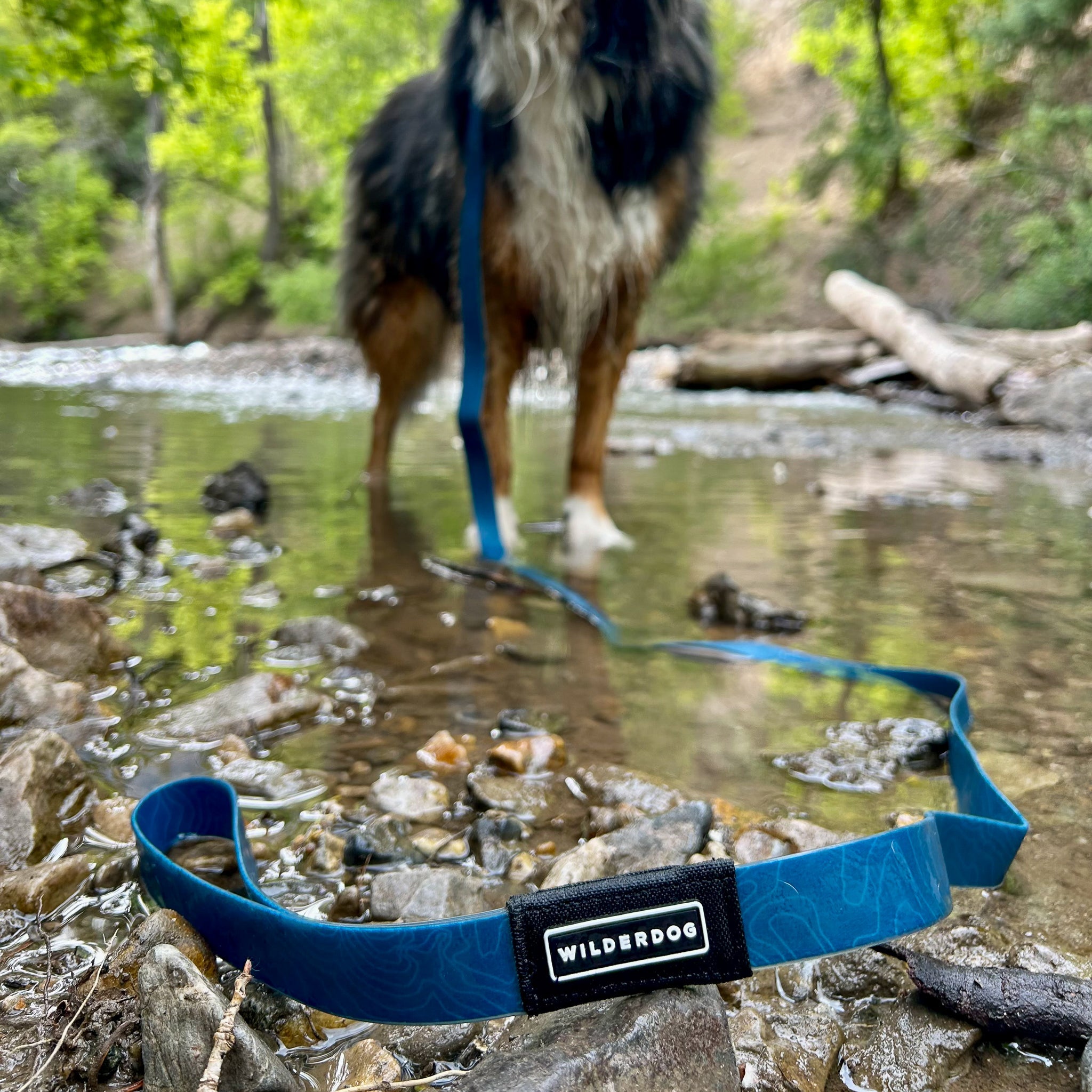 Pacific Blue Waterproof Leash + Collar Bundle