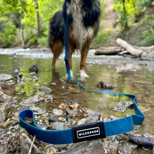 Pacific Blue Waterproof Leash + Collar Bundle
