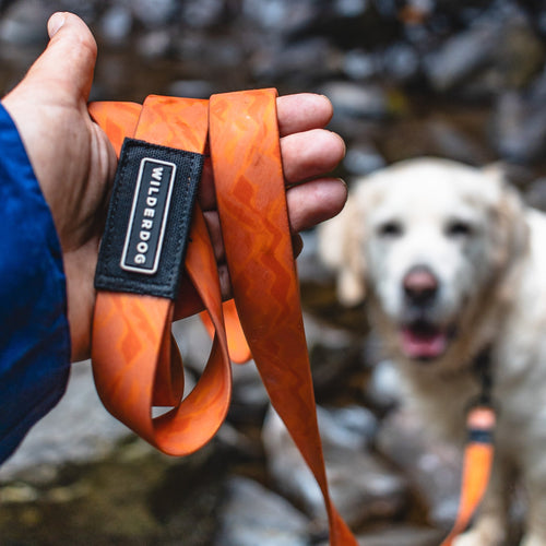 Terracotta Waterproof Leash + Collar Bundle