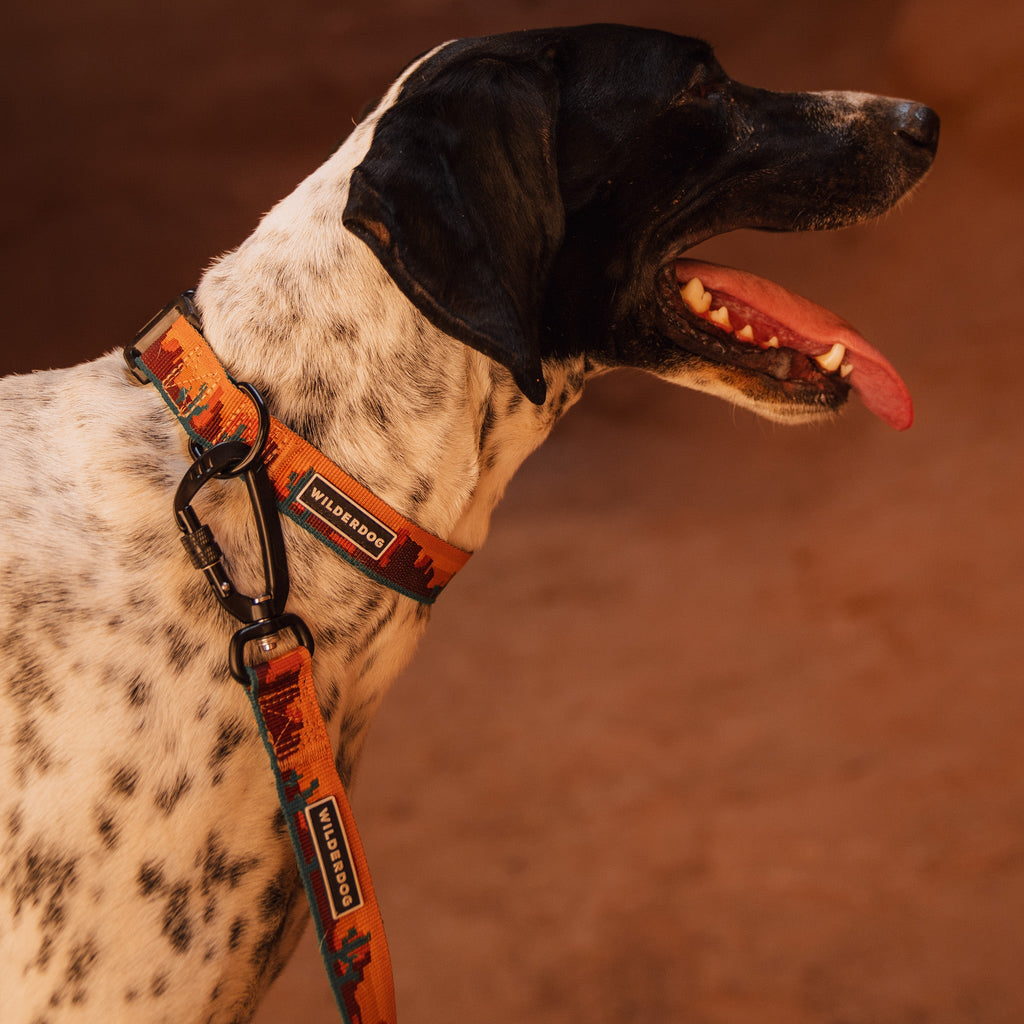 Moab Ultralight Collar
