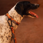 Moab Ultralight Collar