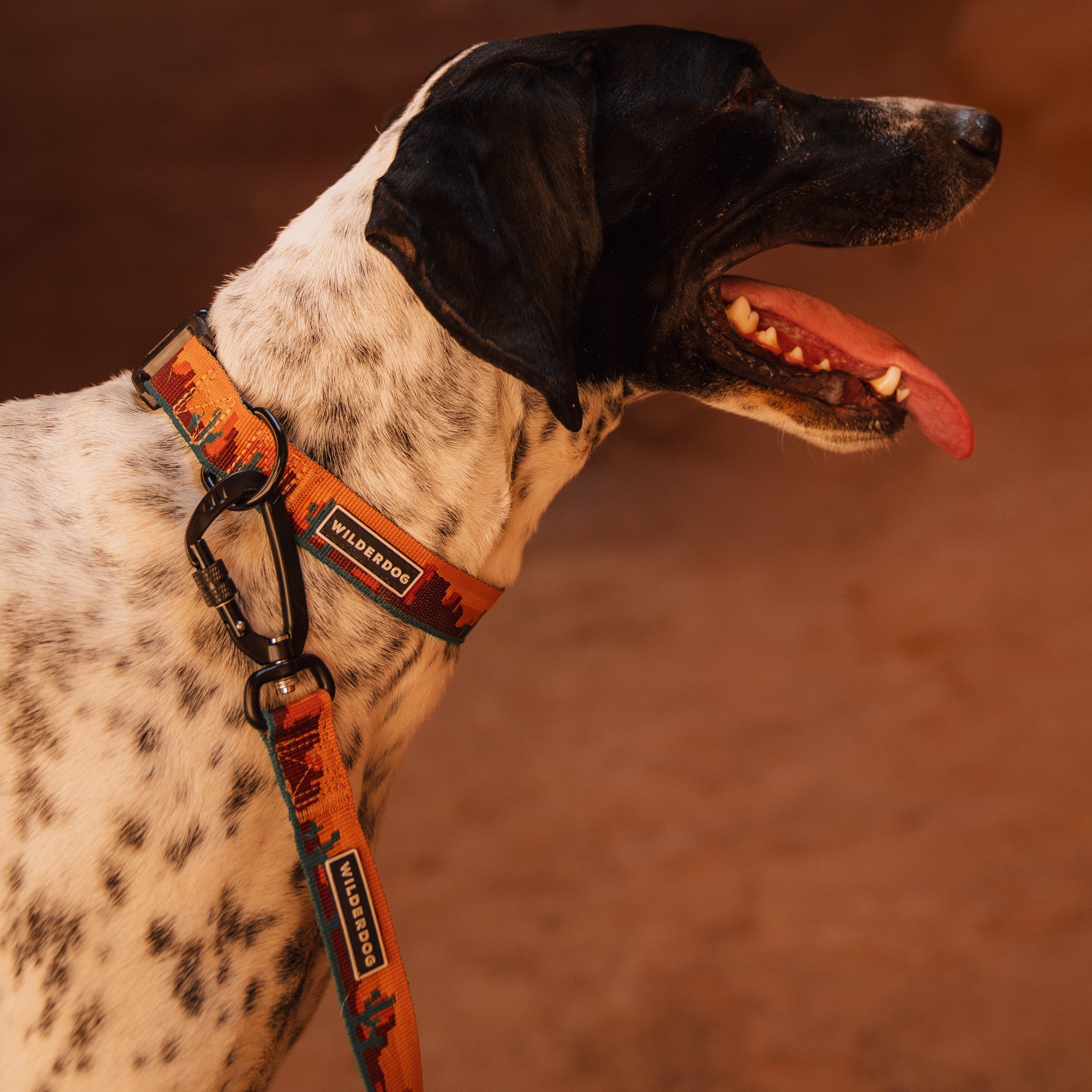 Moab Ultralight Collar