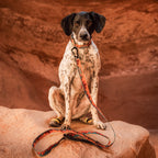 Moab Ultralight Collar