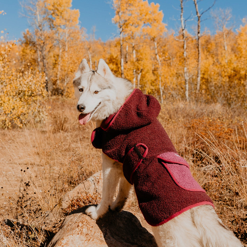 Sherpa Jacket