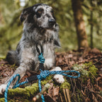 Big Carabiner Rope Leash