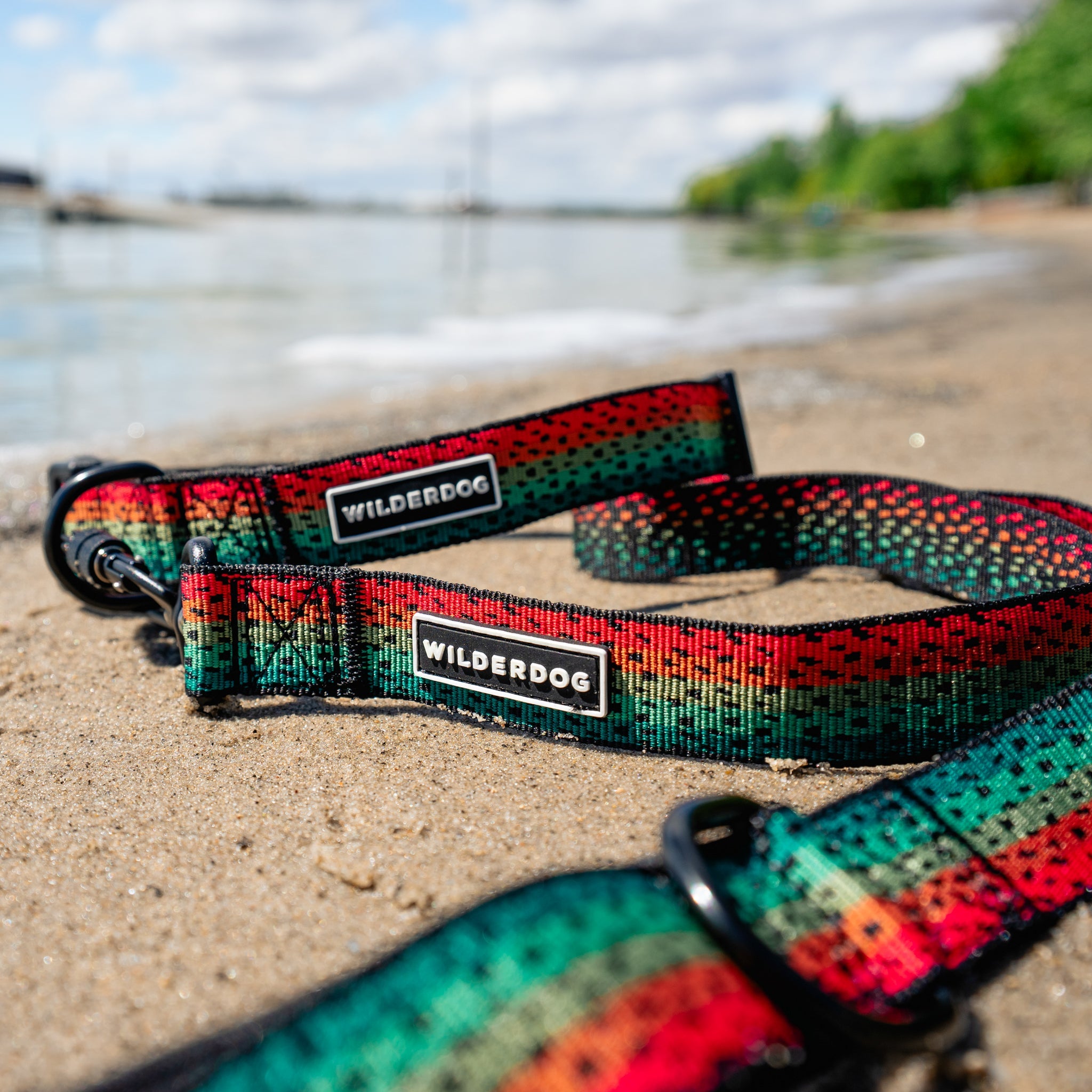Trout Ultralight Collar